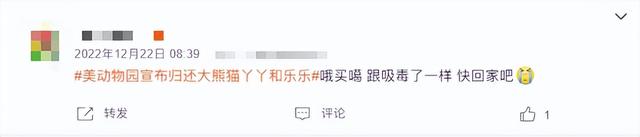 “丫丫”到底怎么了?骨瘦如柴、毛发脱落 → 网友:像吸毒了一样!
