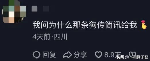 妹子在外没忍住摸了哈士奇，回家后：找外遇你还理直气壮了？