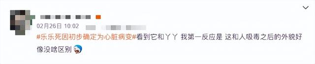 “丫丫”到底怎么了?骨瘦如柴、毛发脱落 → 网友:像吸毒了一样!