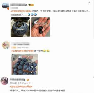 蓝莓这个地方容易滋生霉菌 吃前别忘给它“掏耳朵”