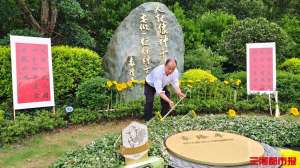 袁隆平逝世4周年，家人在墓前种下22株向日葵