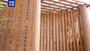 超25万人次打卡！大阪世博会中国馆凭什么“圈粉”全球？