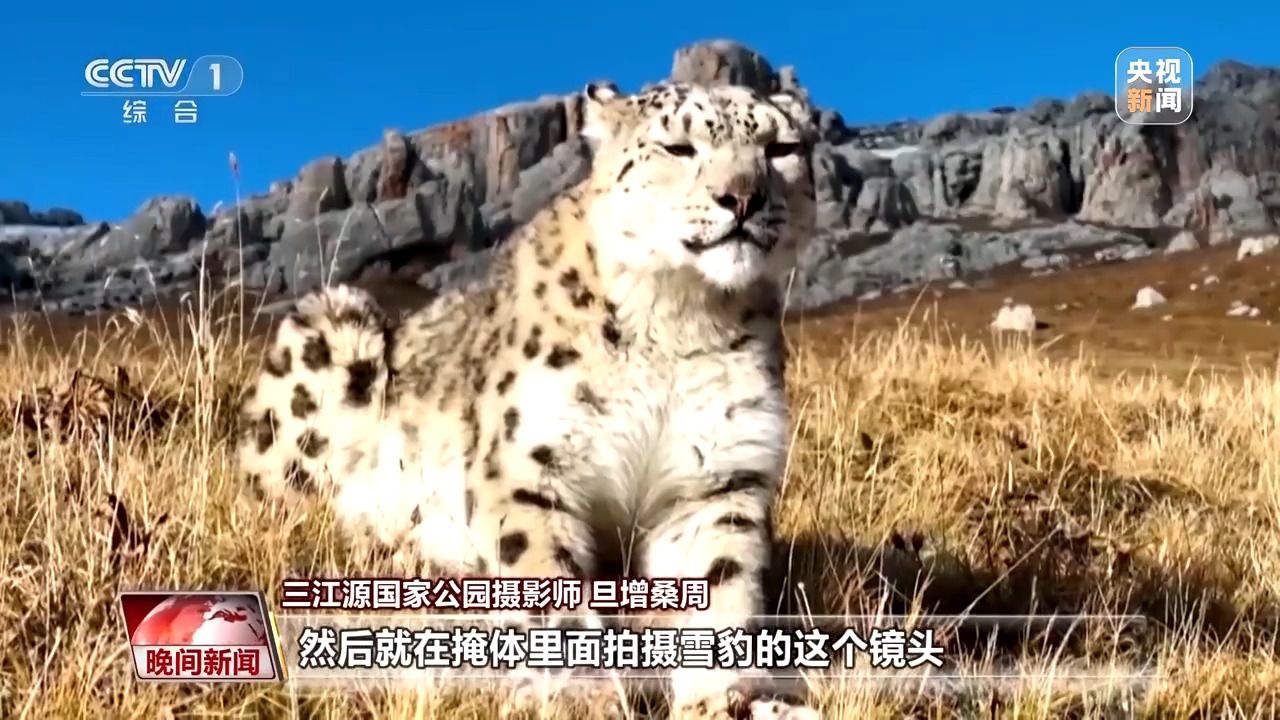 看见美丽中国丨三江源20年蜕变:千湖归来 “中华水塔”焕新生